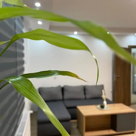 Blanco 5 Apartament Novi Sad